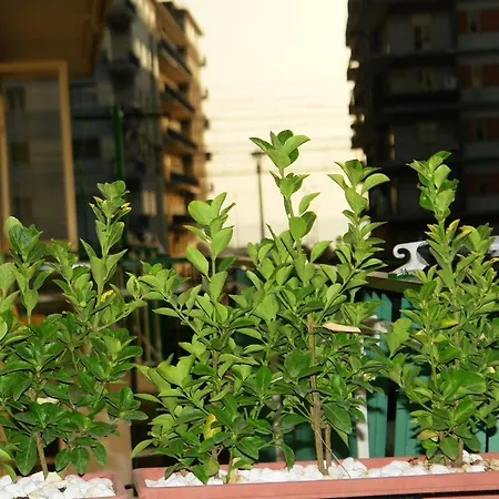 Bed & Breakfast Mary's Salerno