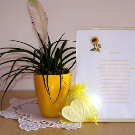 Mary's 住宿加早餐酒店 萨莱诺