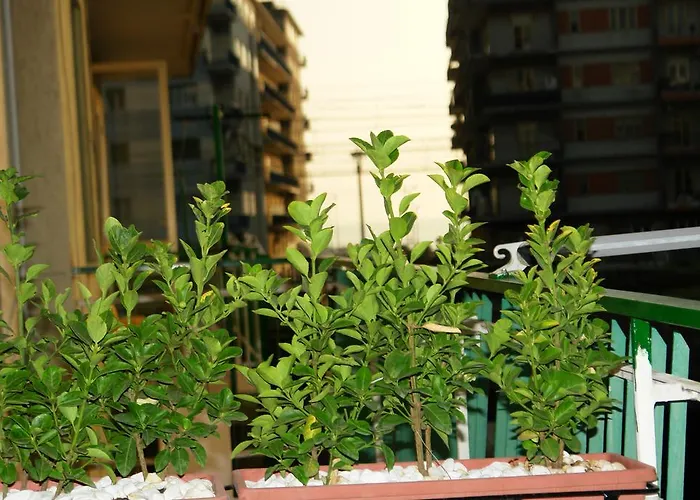 Bed & Breakfast Mary's Salerno